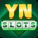 Yn Slots