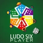 ludo player