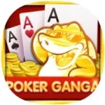 <br />
<b>Warning</b>:  Undefined variable $app_name in <b>/home/www/rummyradio.com/wp-content/themes/rummy5/front-page.php</b> on line <b>132</b><br />
