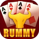 rummy bharat